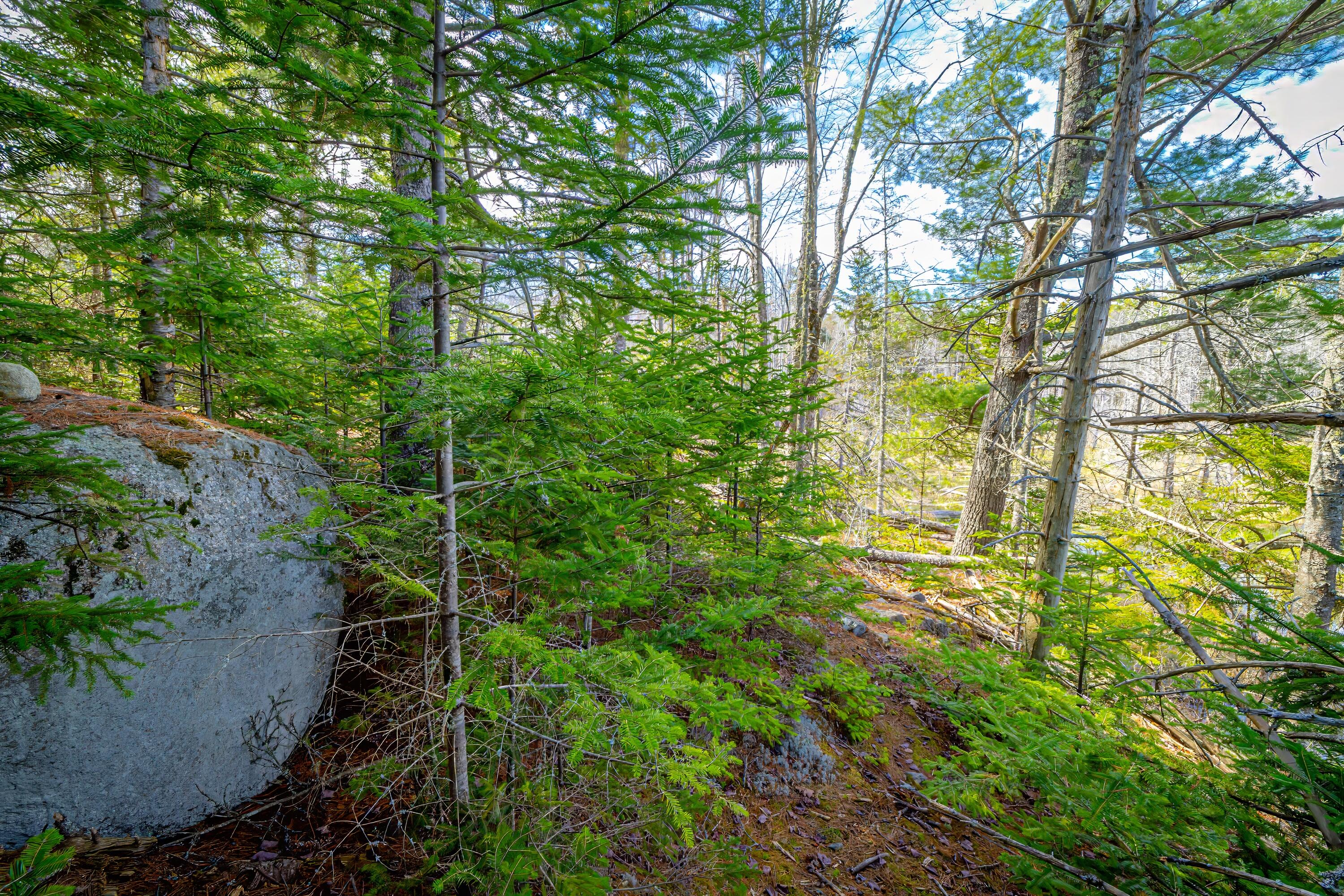 Lot 9 Bluff Road Bar Harbor ME 04609