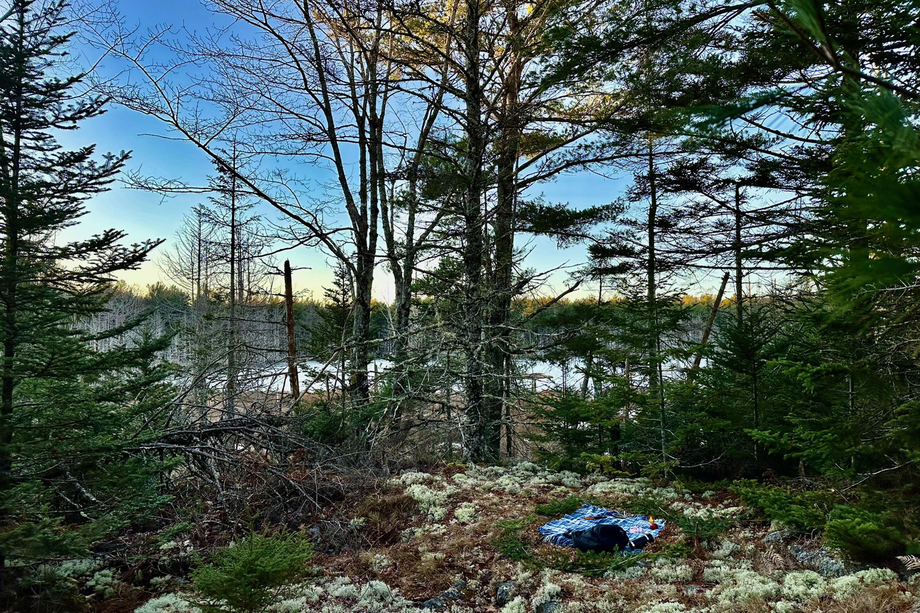 Lot 9 Bluff Road Bar Harbor ME 04609