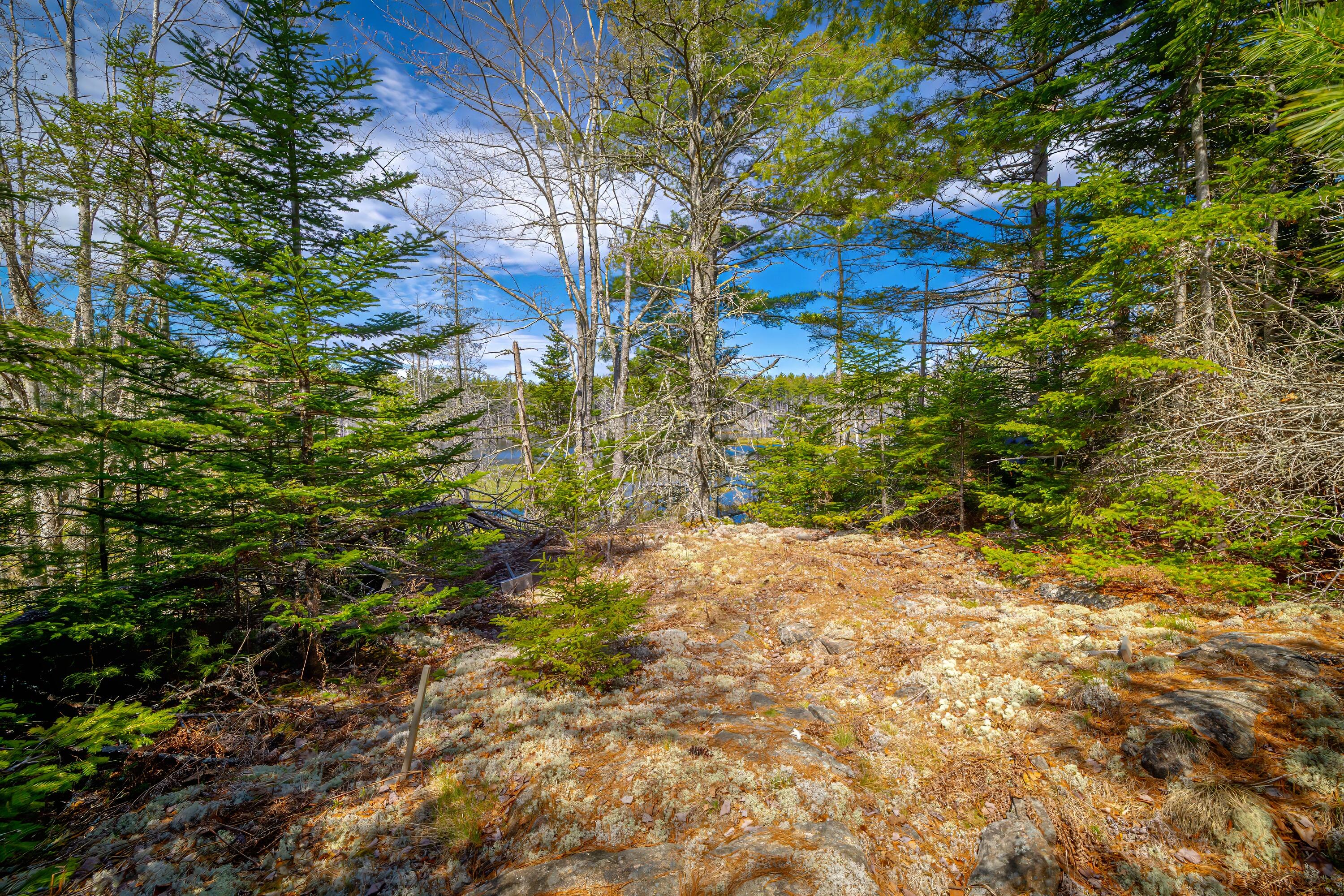 Lot 9 Bluff Road Bar Harbor ME 04609