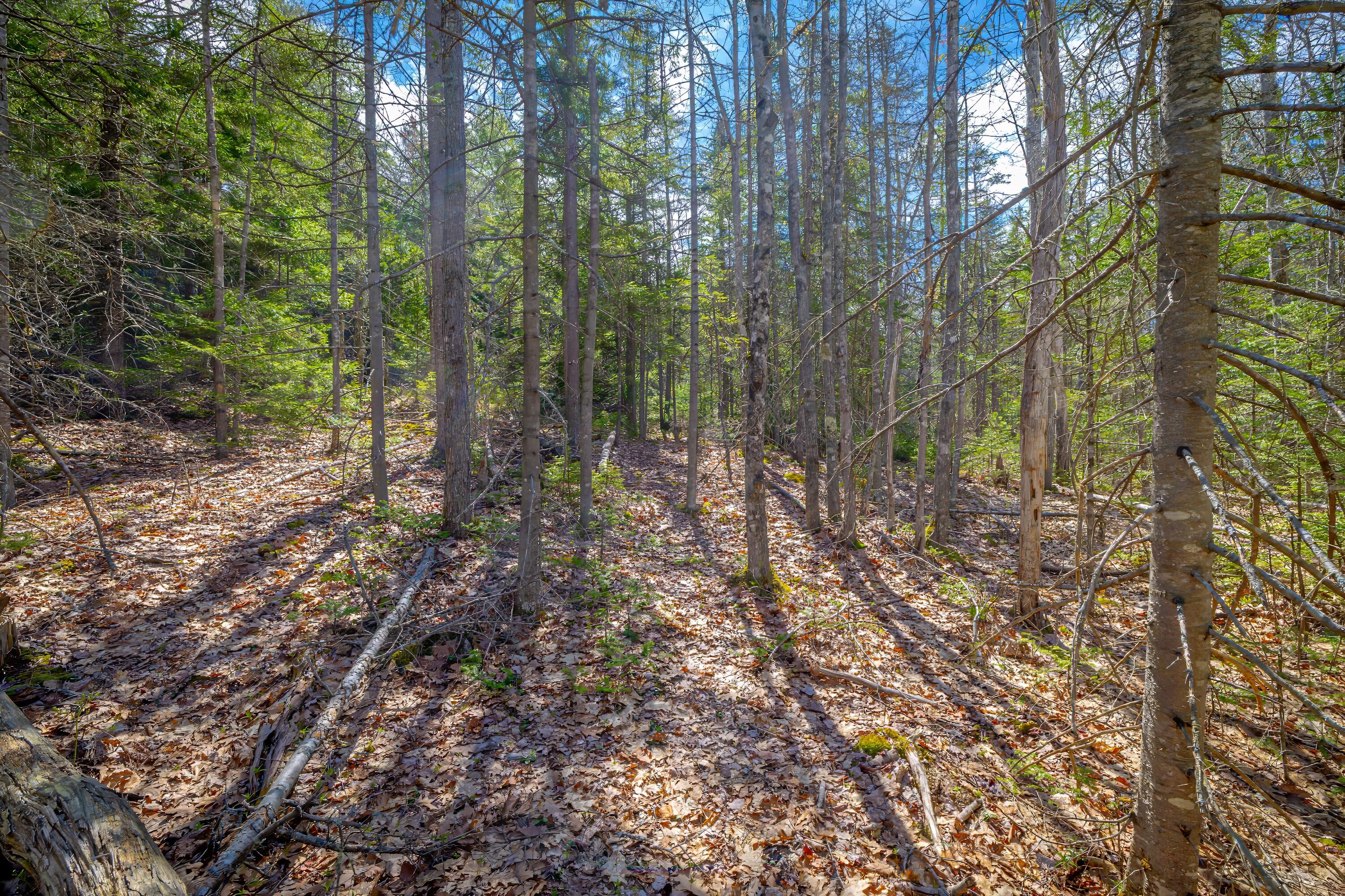 Lot 9 Bluff Road Bar Harbor ME 04609