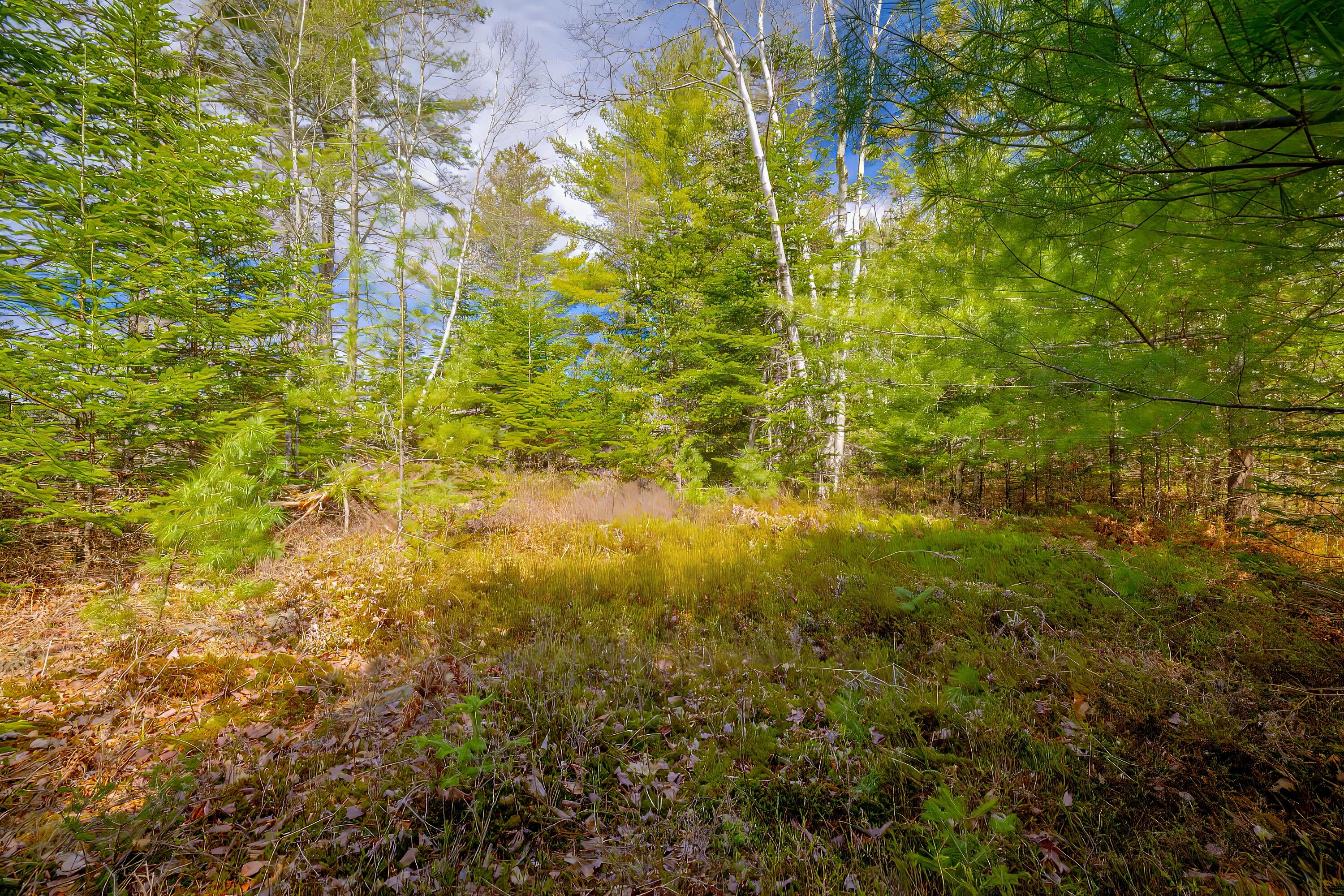 Lot 9 Bluff Road Bar Harbor ME 04609