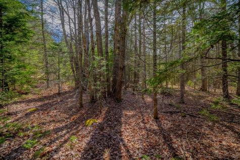 Lot 9 Bluff Road Bar Harbor ME 04609