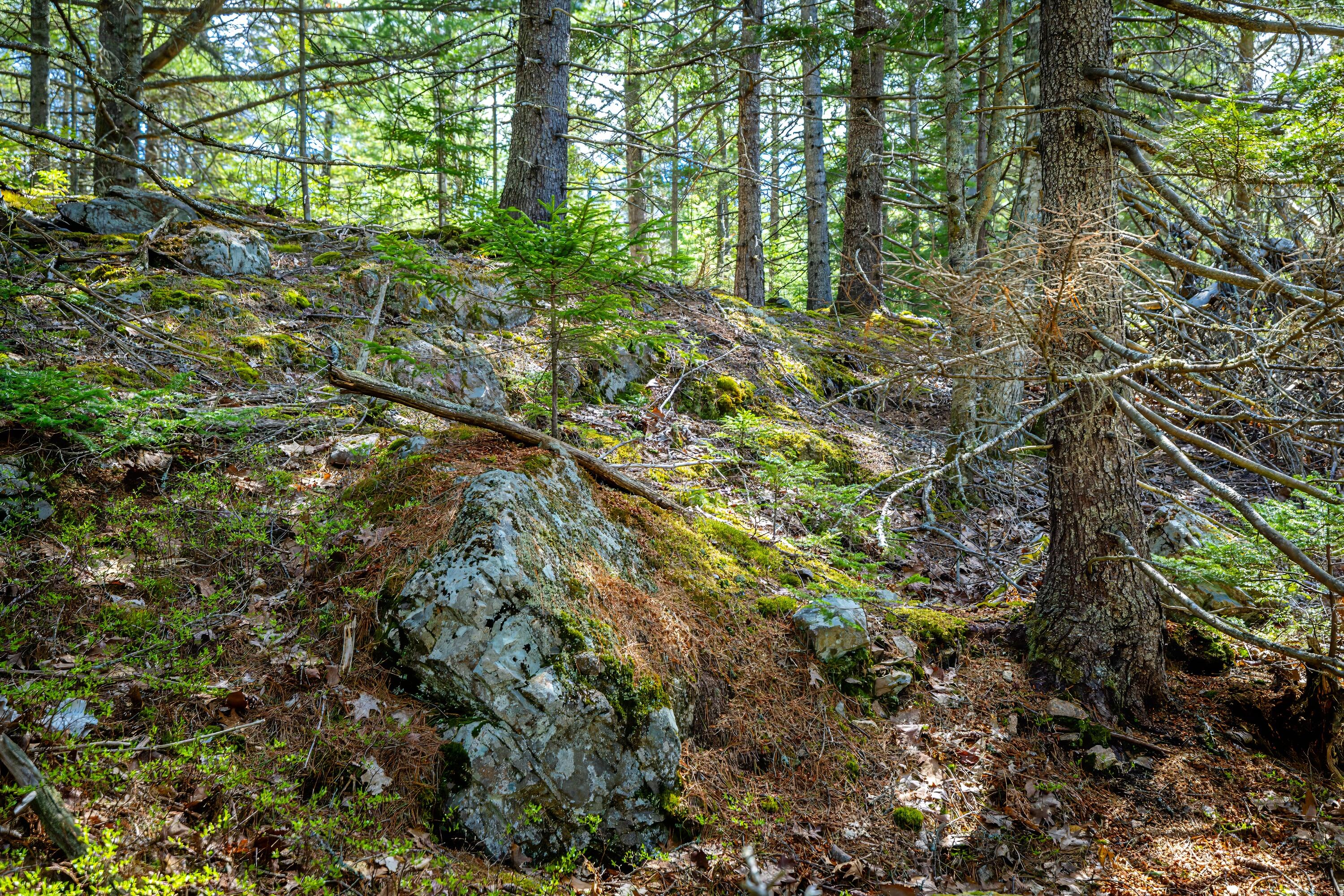 Lot 9 Bluff Road Bar Harbor ME 04609