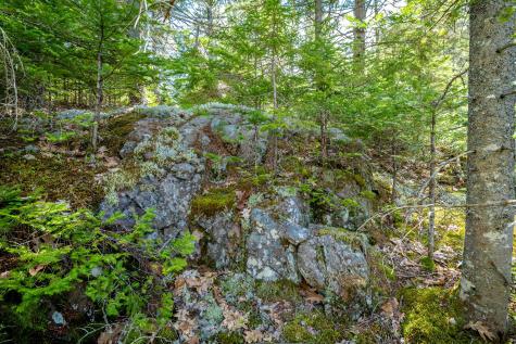 Lot 9 Bluff Road Bar Harbor ME 04609