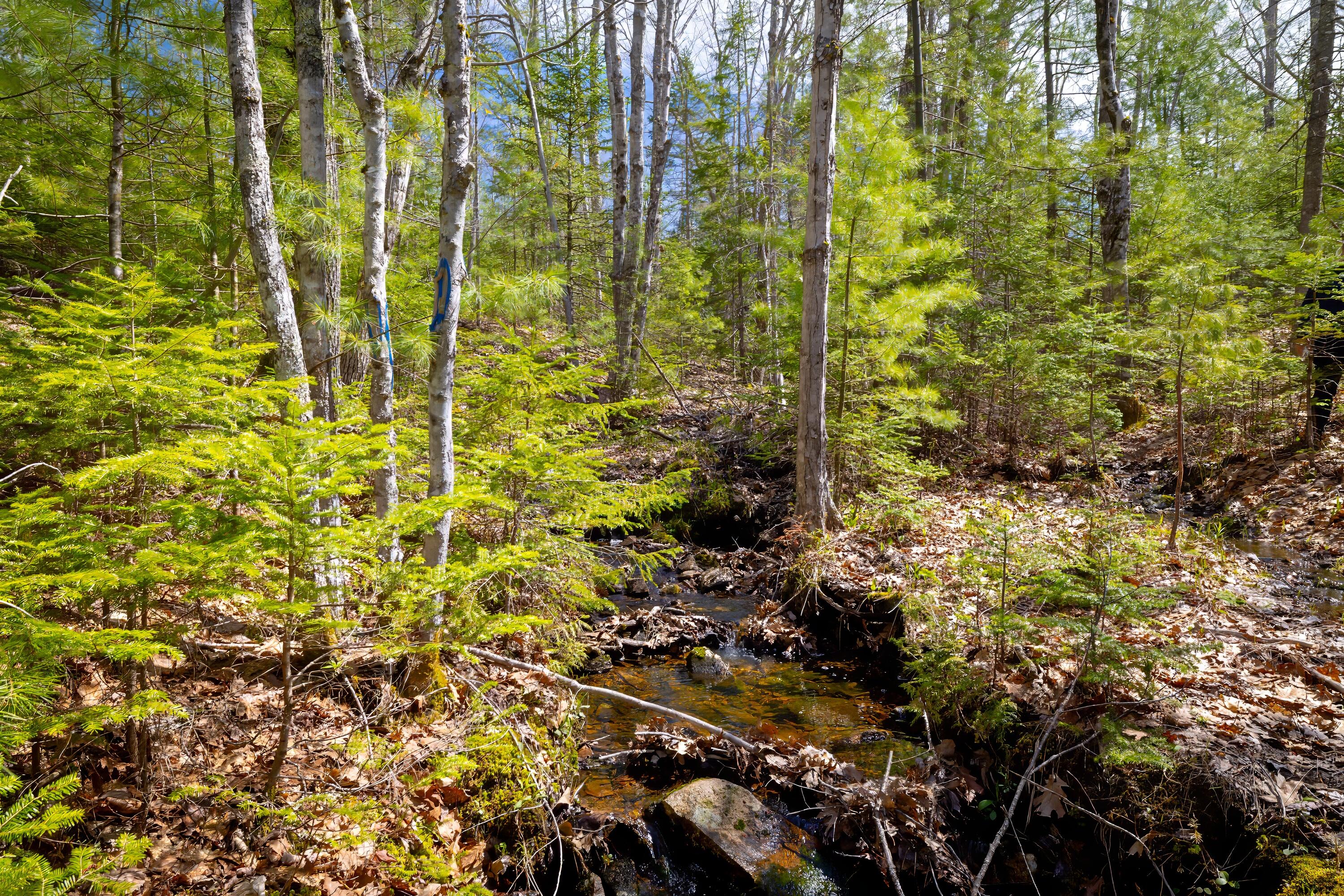 Lot 9 Bluff Road Bar Harbor ME 04609