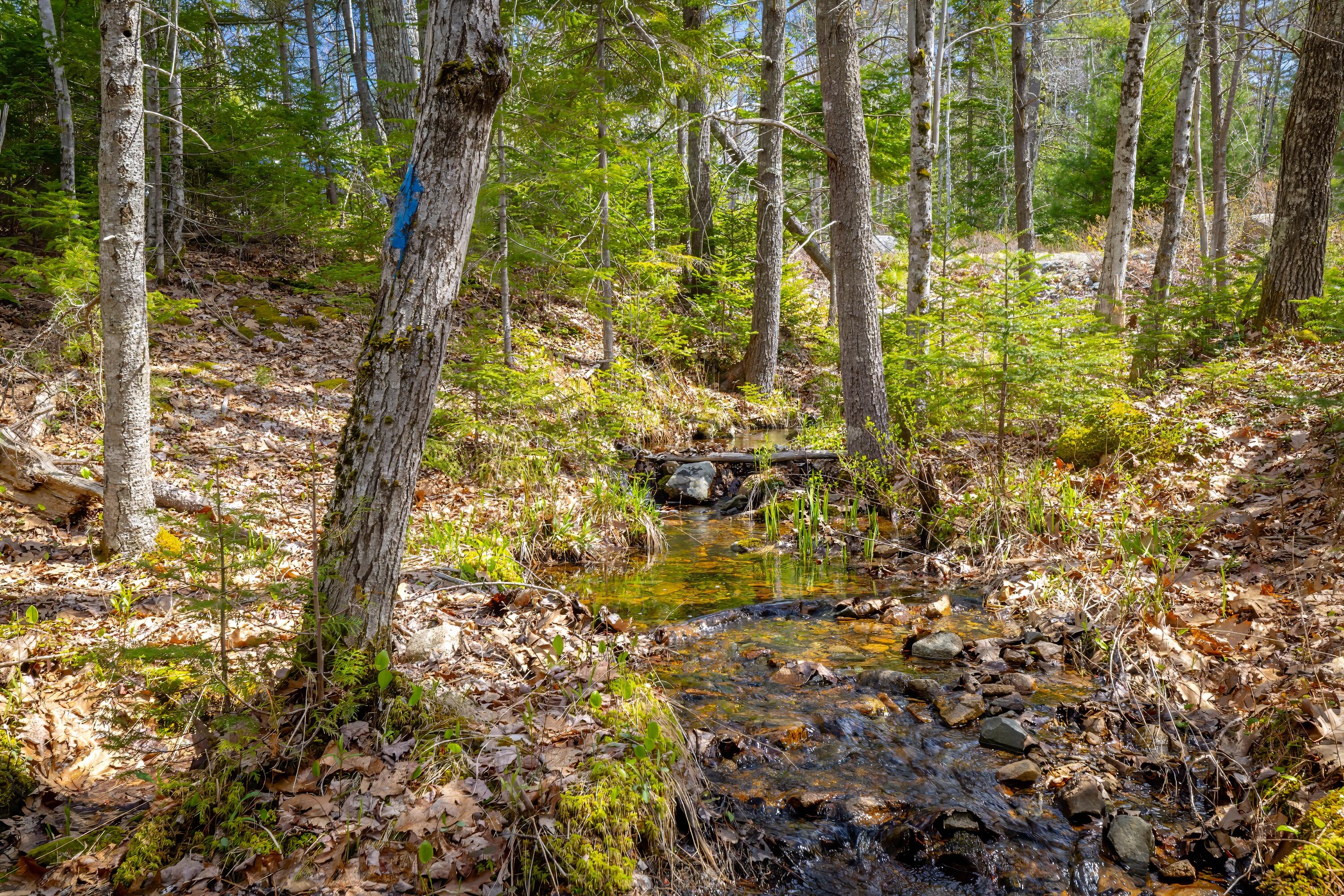 Lot 9 Bluff Road Bar Harbor ME 04609