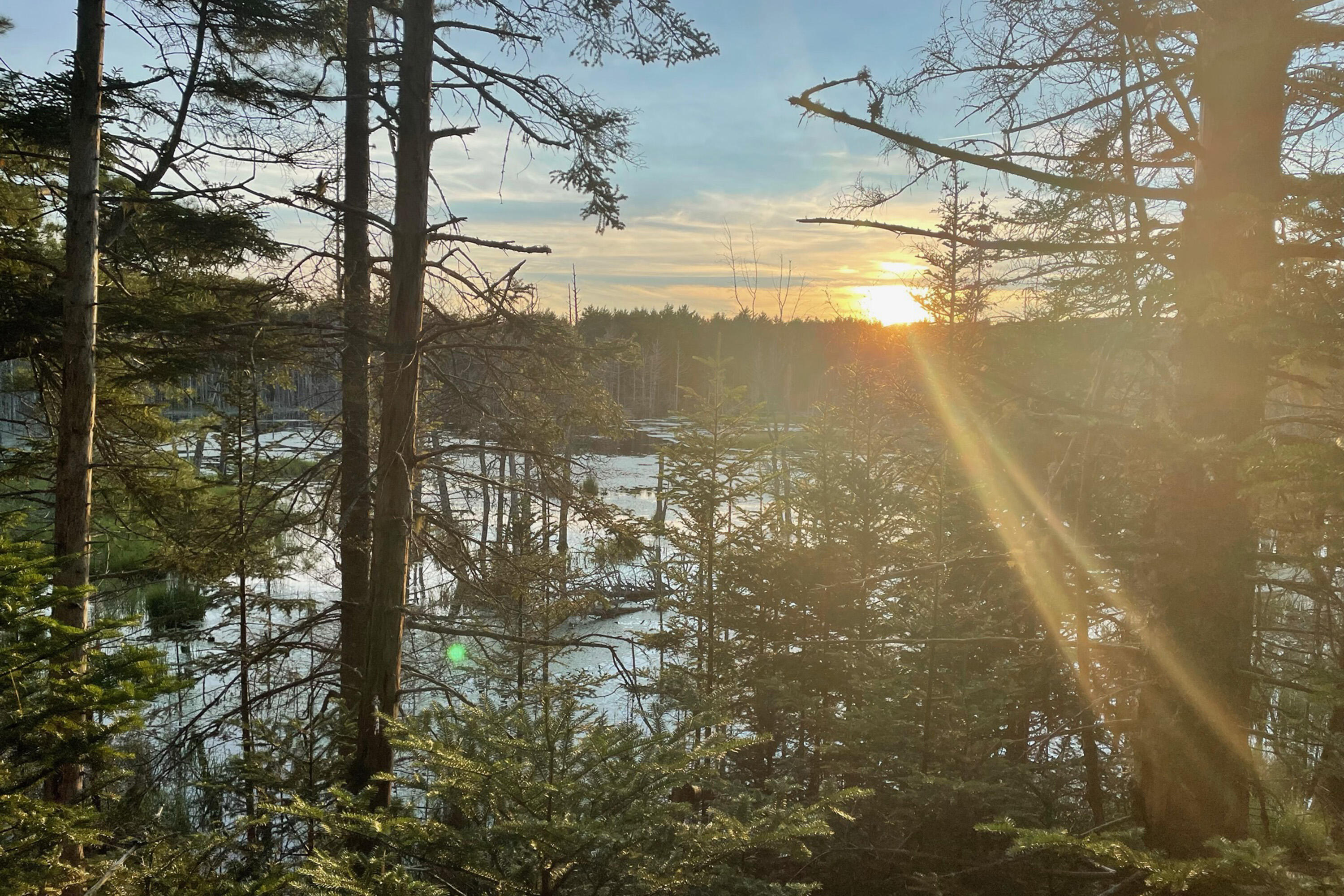 Lot 9 Bluff Road Bar Harbor ME 04609