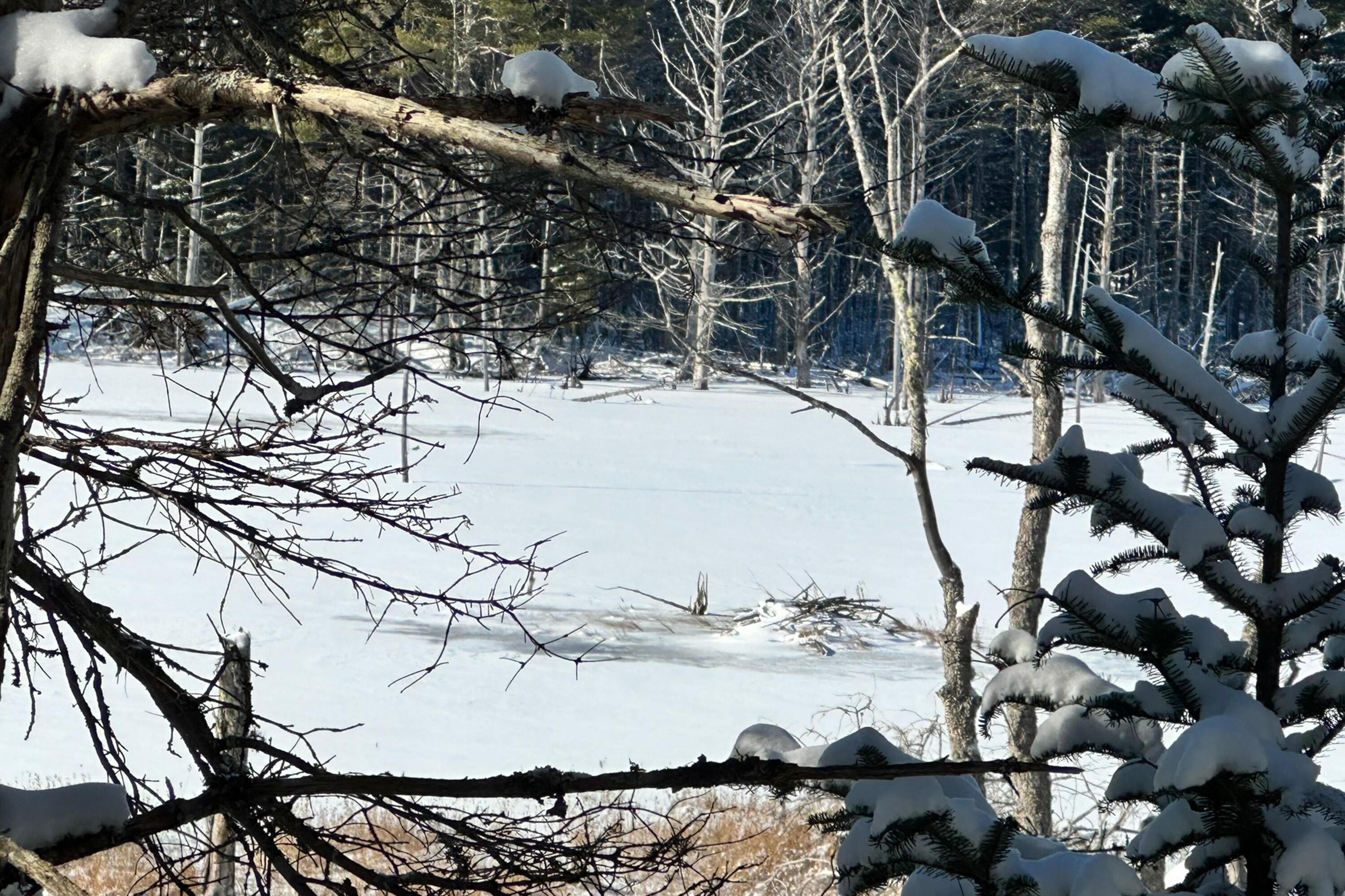 Lot 9 Bluff Road Bar Harbor ME 04609