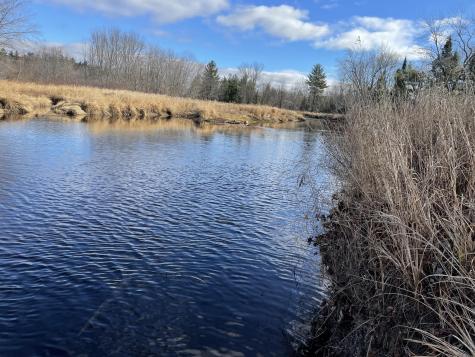 Lot 40 Lord Brook Road Grand Falls Twp ME 04418