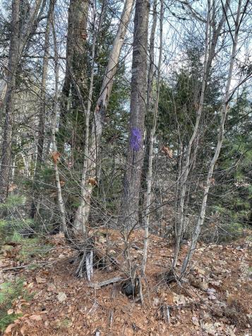 Lot 40 Lord Brook Road Grand Falls Twp ME 04418