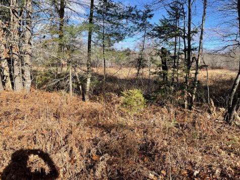 Lot 40 Lord Brook Road Grand Falls Twp ME 04418