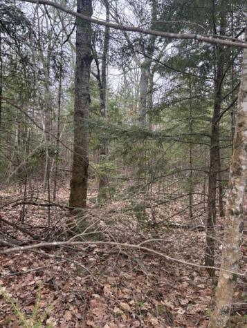 0 Old North Road West Gardiner ME 04345