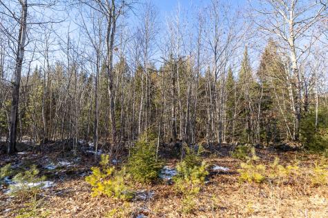 Lot 14-2 Mcgrath Pond Loop Road Belgrade ME 04917