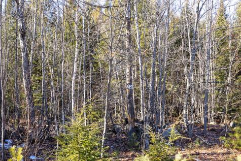 Lot 14-2 Mcgrath Pond Loop Road Belgrade ME 04917