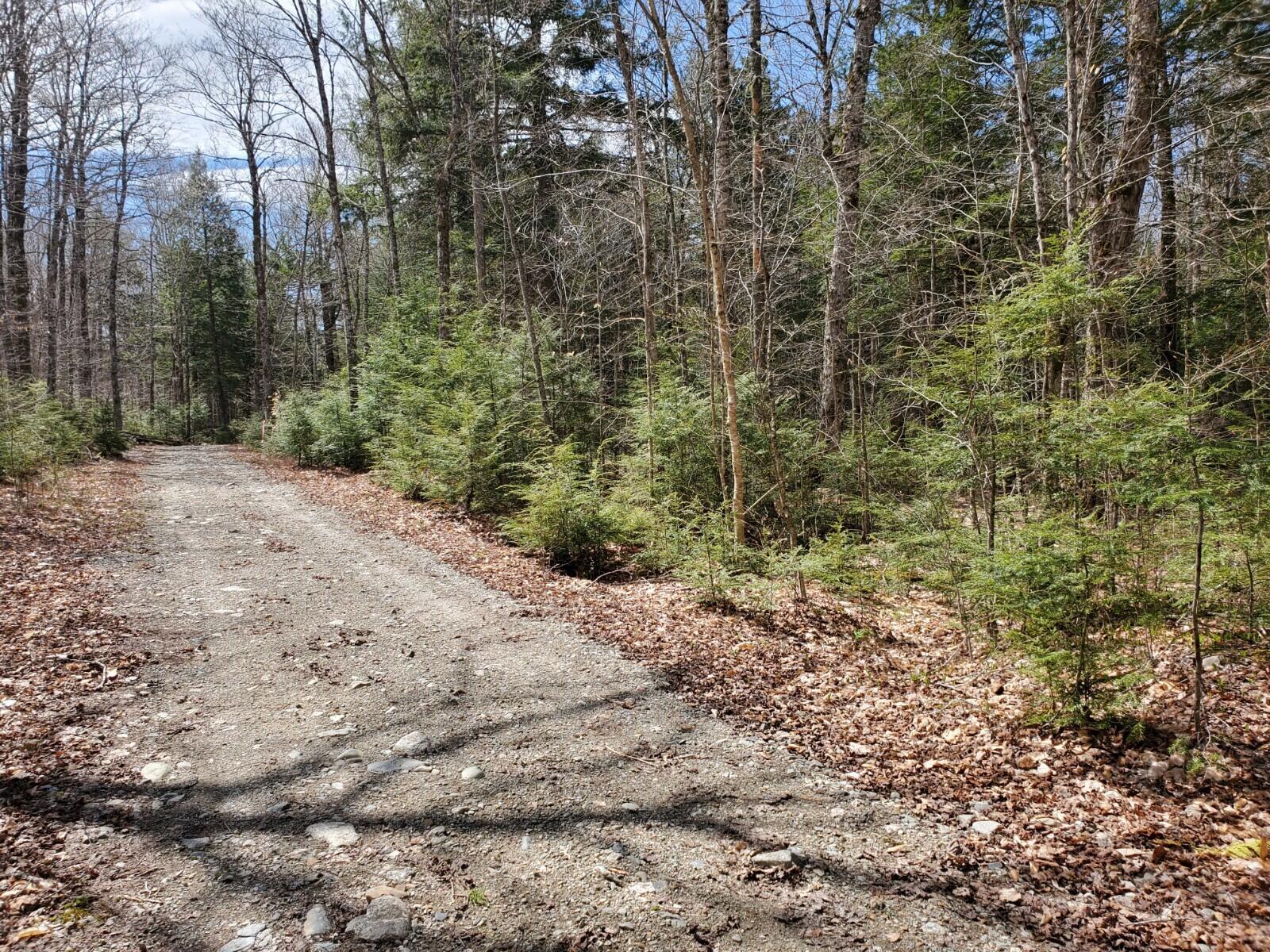 1.3 Ac Off Barrows Lake Road Alexander ME 04694
