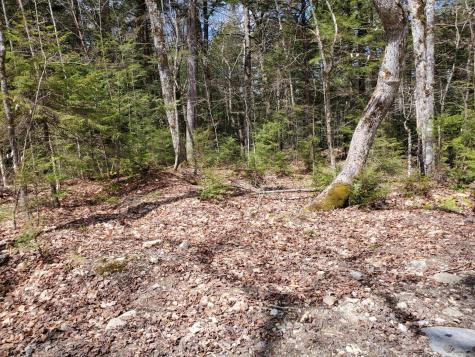 1.3 Ac Off Barrows Lake Road Alexander ME 04694