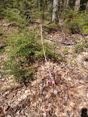 1.3 Ac Off Barrows Lake Road Alexander ME 04694