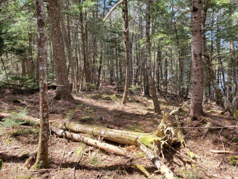 1.3 Ac Off Barrows Lake Road Alexander ME 04694