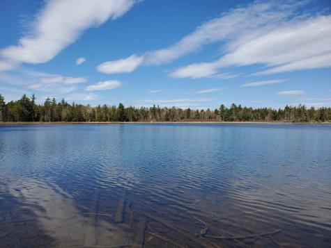 1.3 Ac Off Barrows Lake Road Alexander ME 04694