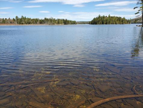 1.3 Ac Off Barrows Lake Road Alexander ME 04694