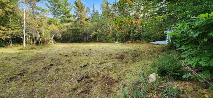 Lot 5 Blaine Avenue Guilford ME 04443