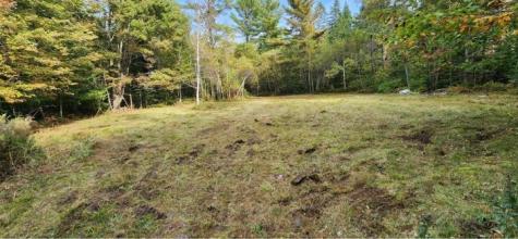 Lot 5 Blaine Avenue Guilford ME 04443