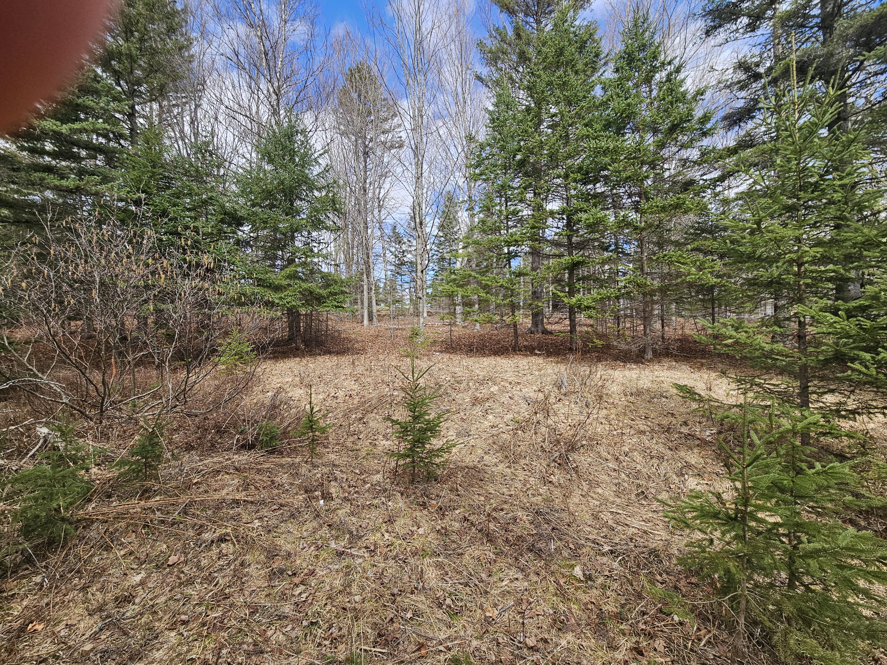 Lot 9 Amber Road Rangeley ME 04970