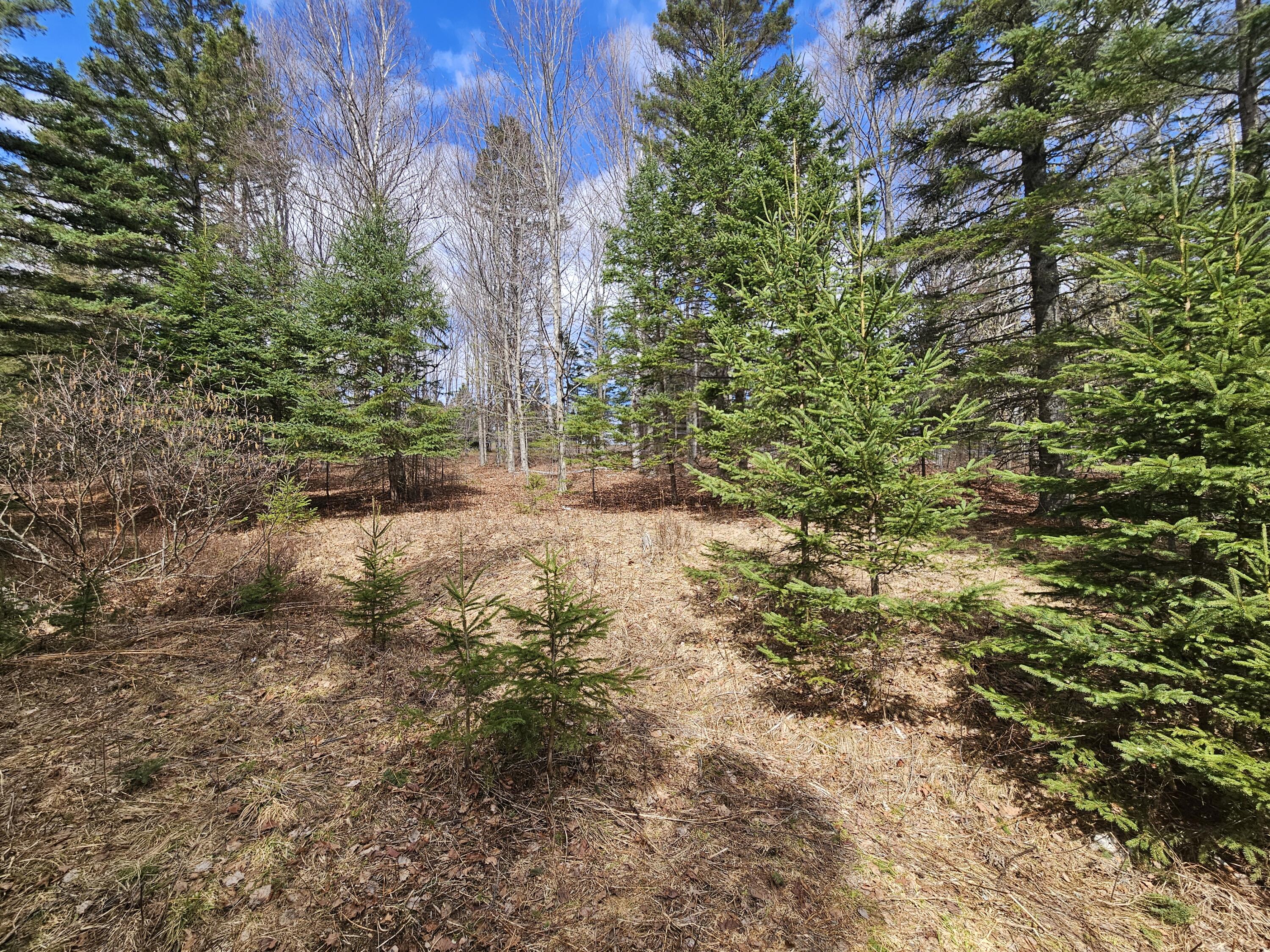 Lot 9 Amber Road Rangeley ME 04970