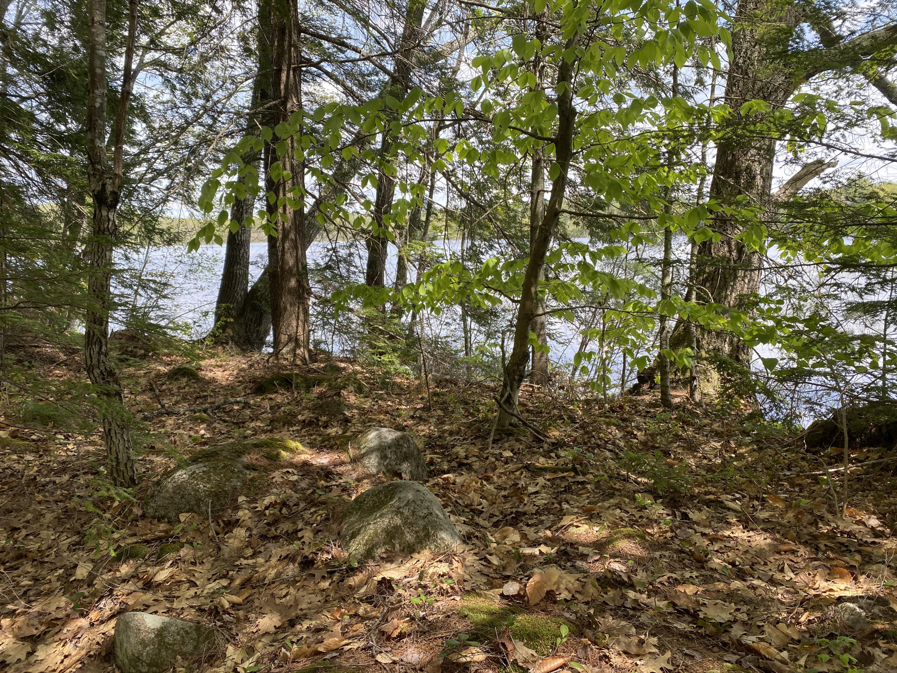 0 Main Street Fayette Maine Real Estate Listing MLS 1488900