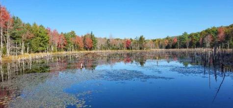 408 Oak Hill Road Swanville ME 04915