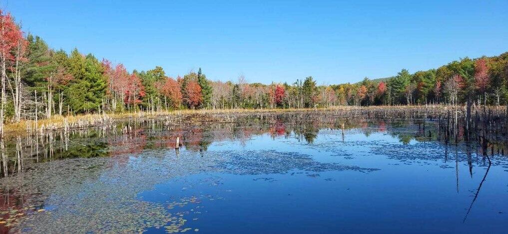 408 Oak Hill Road Swanville ME 04915