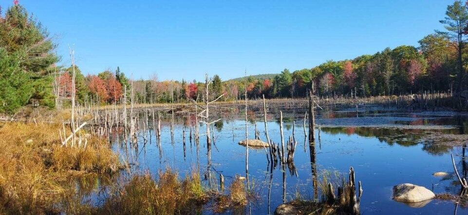 408 Oak Hill Road Swanville ME 04915