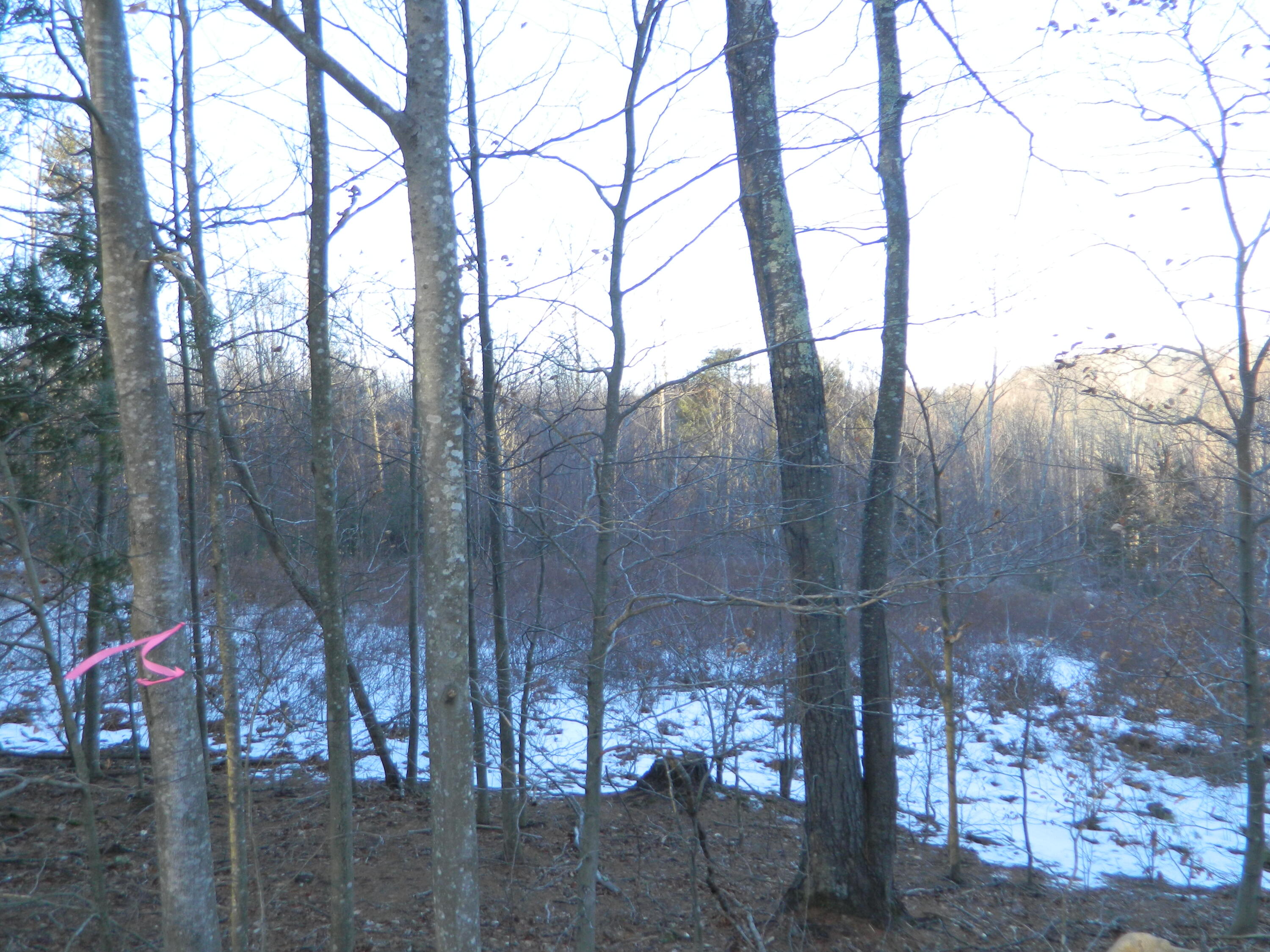 R6-41-S5 Ridley Road Sanford ME 04083