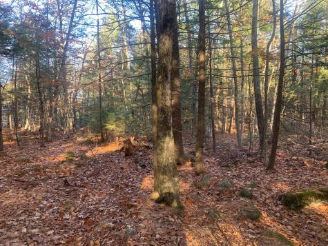 0 Lot #2 Candlewyck Road Windham ME 04062