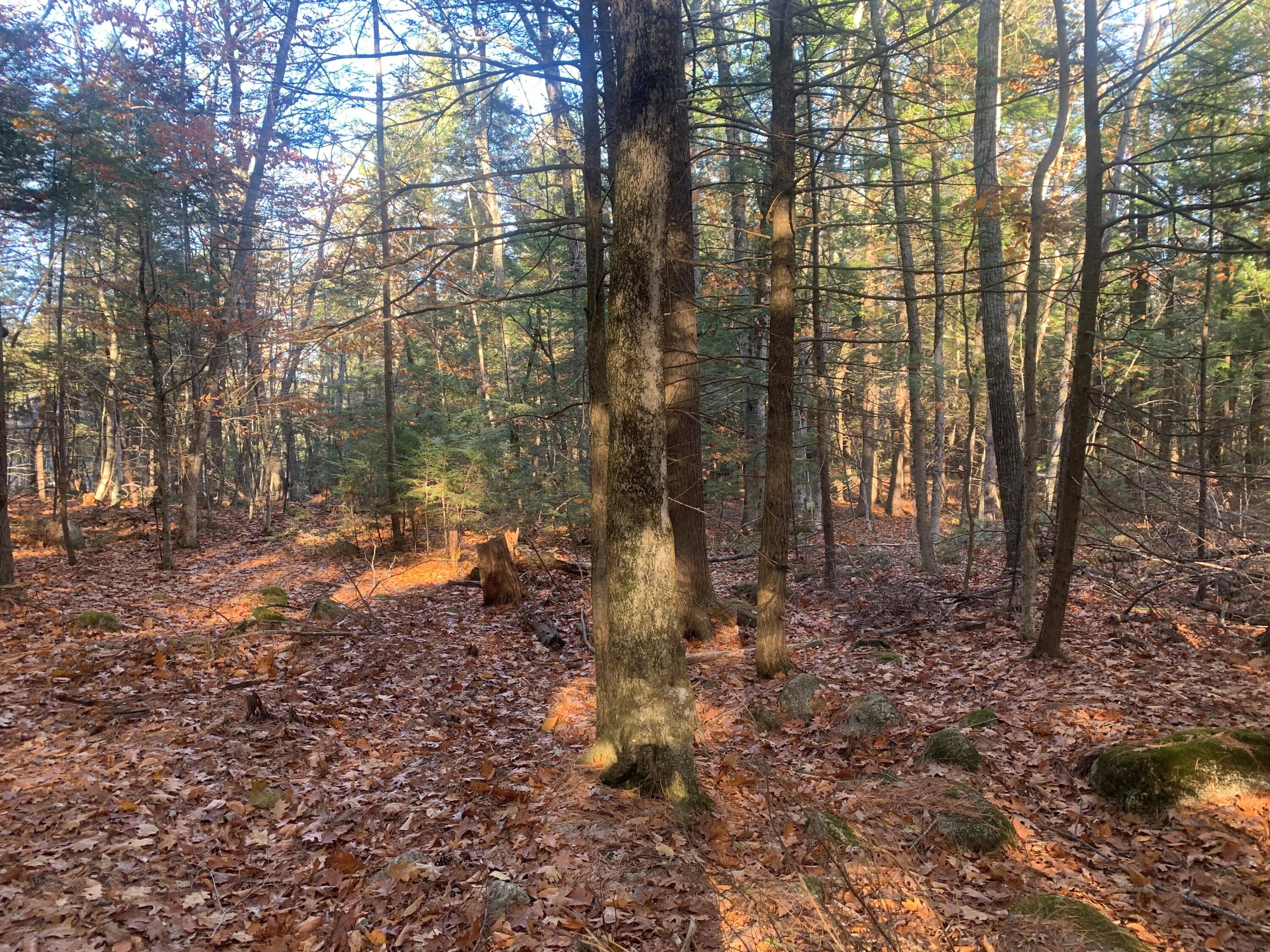 0 Lot #2 Candlewyck Road Windham ME 04062