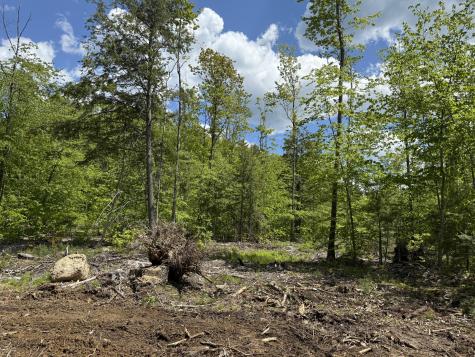 Lot 4 Brookhaven Lane Harrison ME 04040
