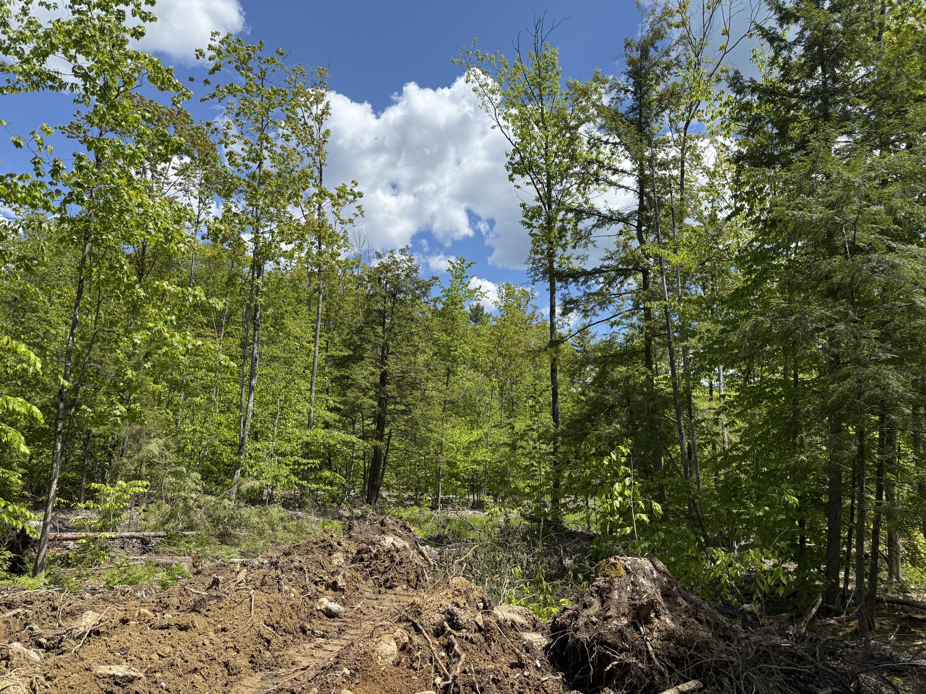 Lot 4 Brookhaven Lane Harrison ME 04040