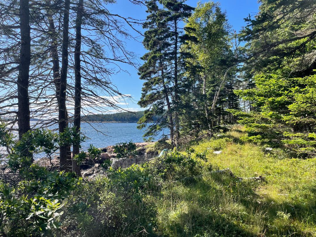 56 Jordan Harbor Road Winter Harbor ME 04693