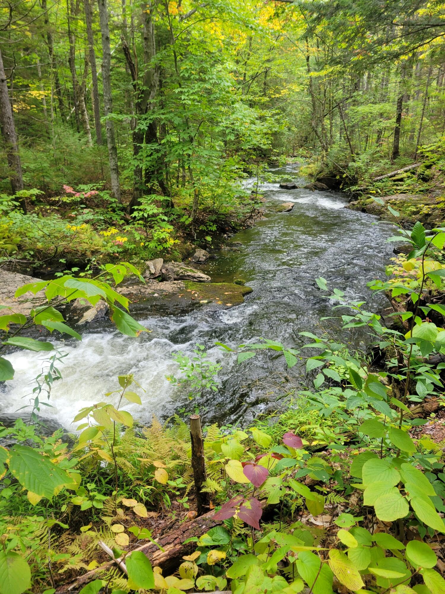 M08 Lot 32 Main Street Sandy River Plt ME 04970