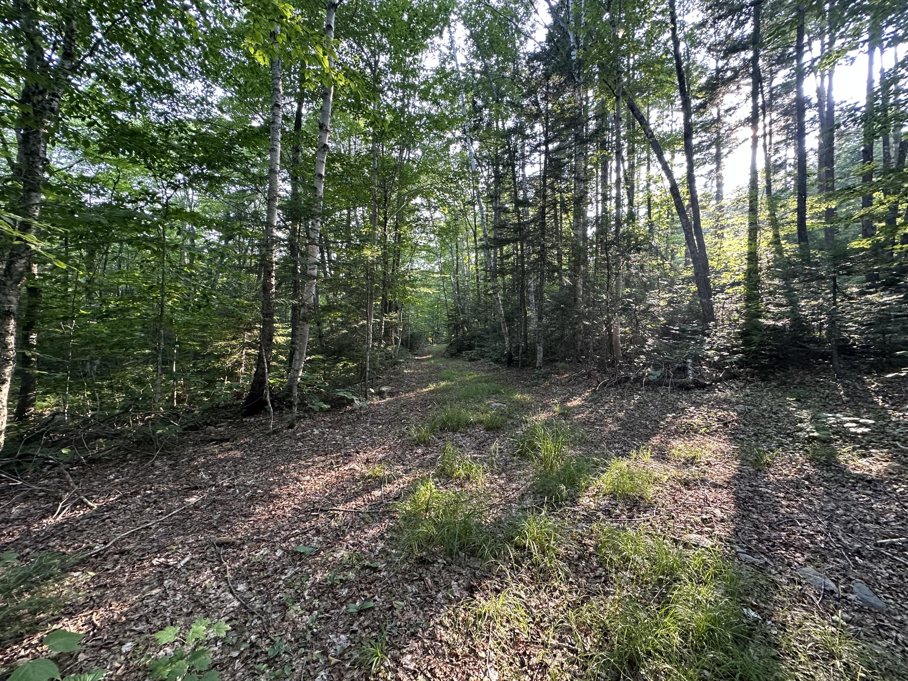 M08 Lot 32 Main Street Sandy River Plt ME 04970