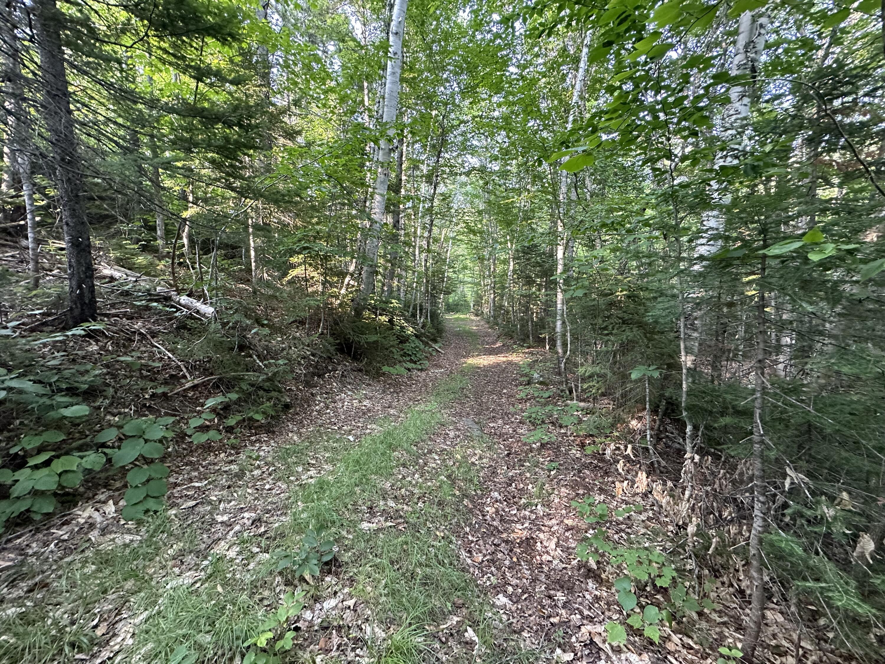 M08 Lot 32 Main Street Sandy River Plt ME 04970