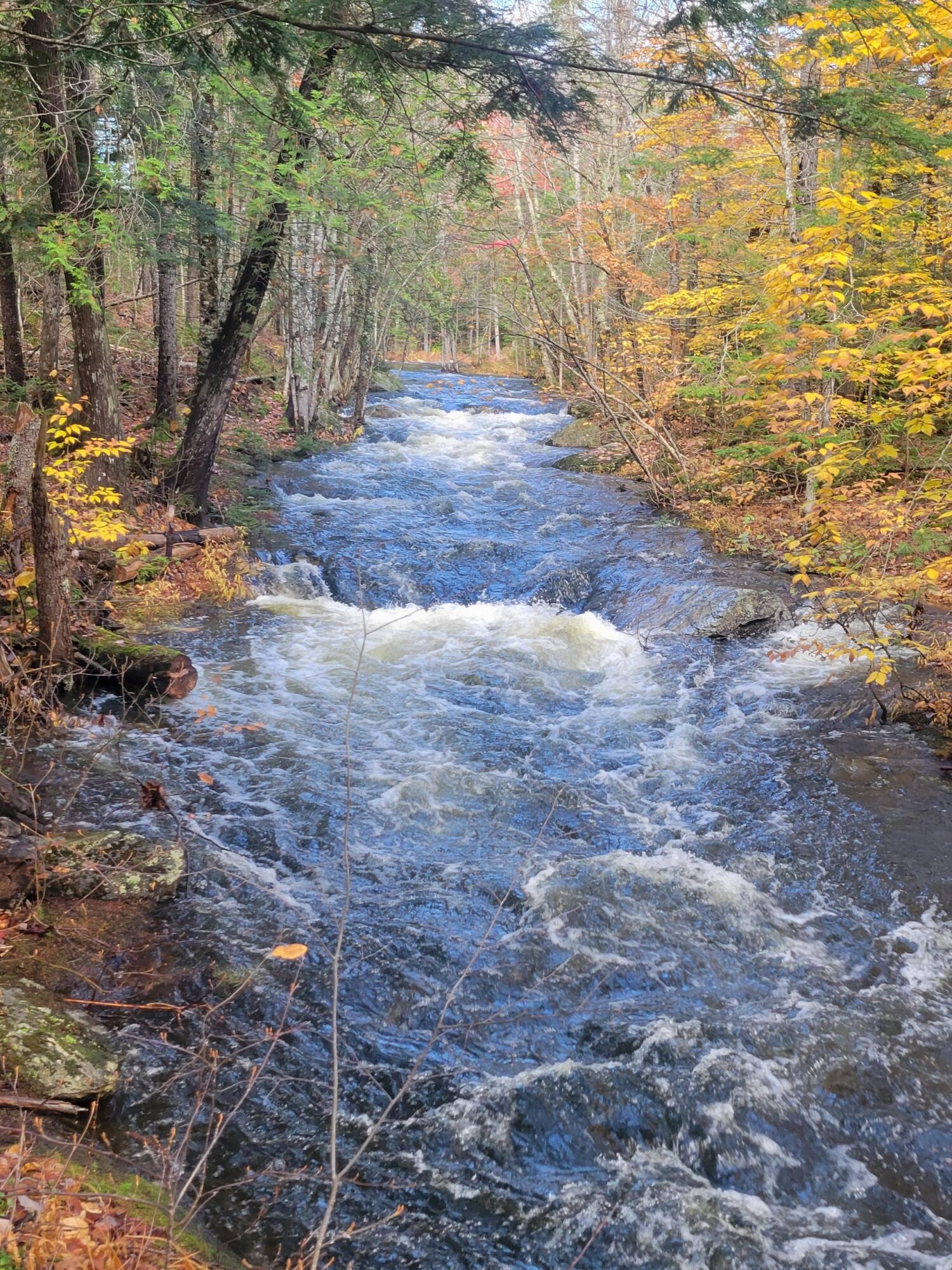 M08 Lot 32 Main Street Sandy River Plt ME 04970