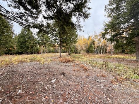 45 Bass Overlook Waltham ME 04605