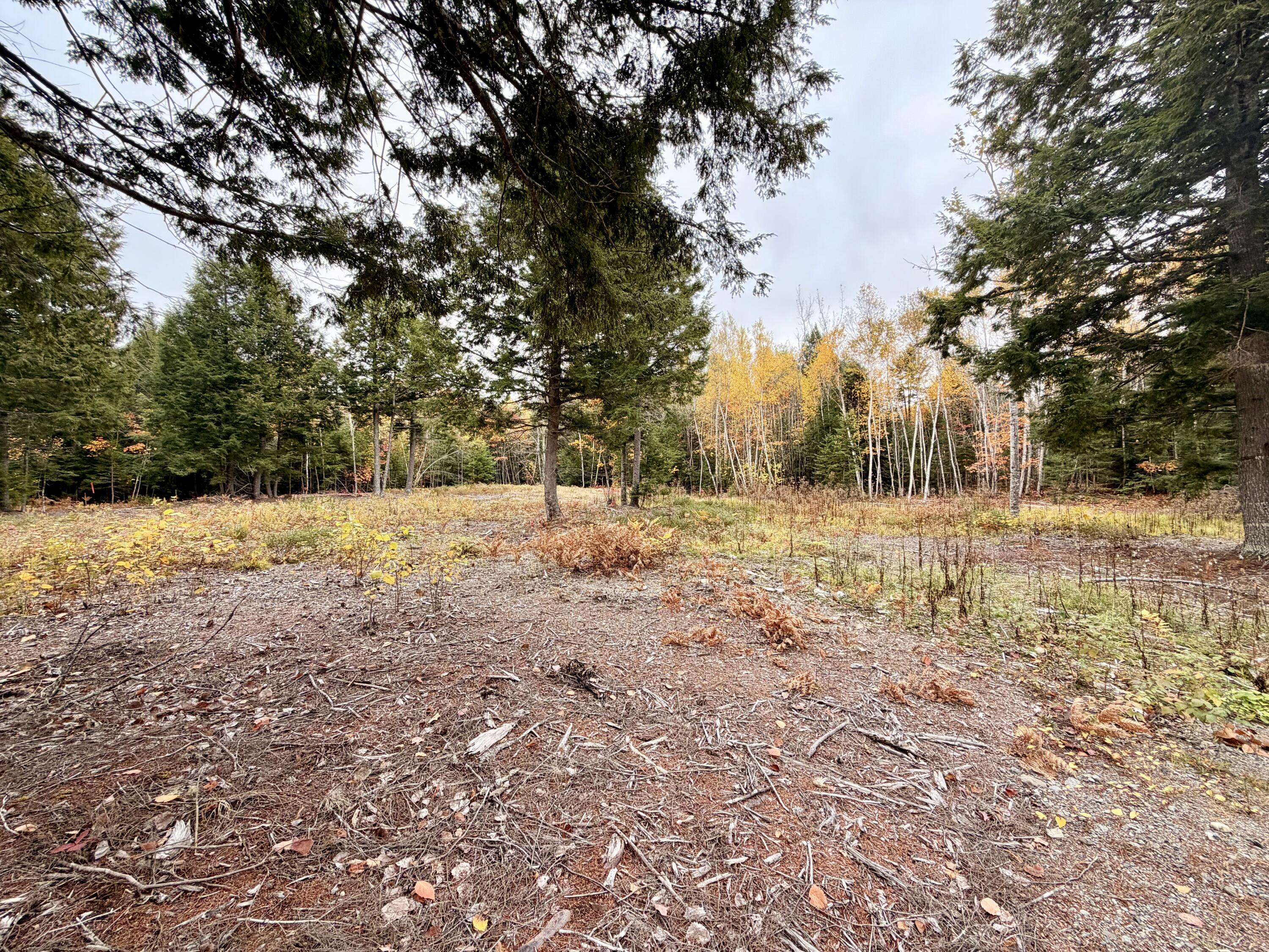 45 Bass Overlook Waltham ME 04605