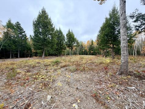 45 Bass Overlook Waltham ME 04605