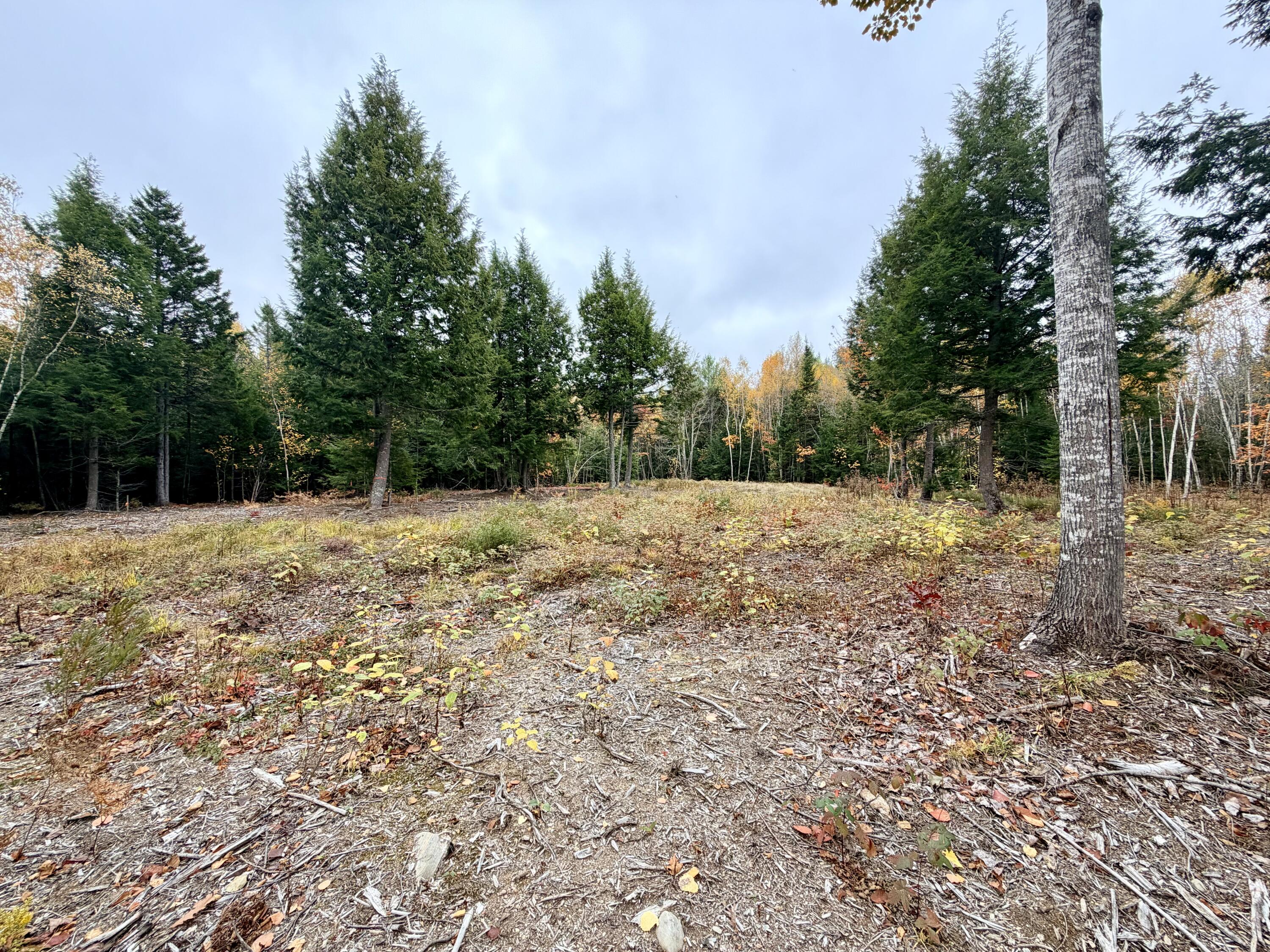 45 Bass Overlook Waltham ME 04605