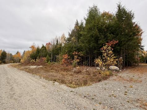 45 Bass Overlook Waltham ME 04605