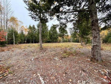 45 Bass Overlook Waltham ME 04605