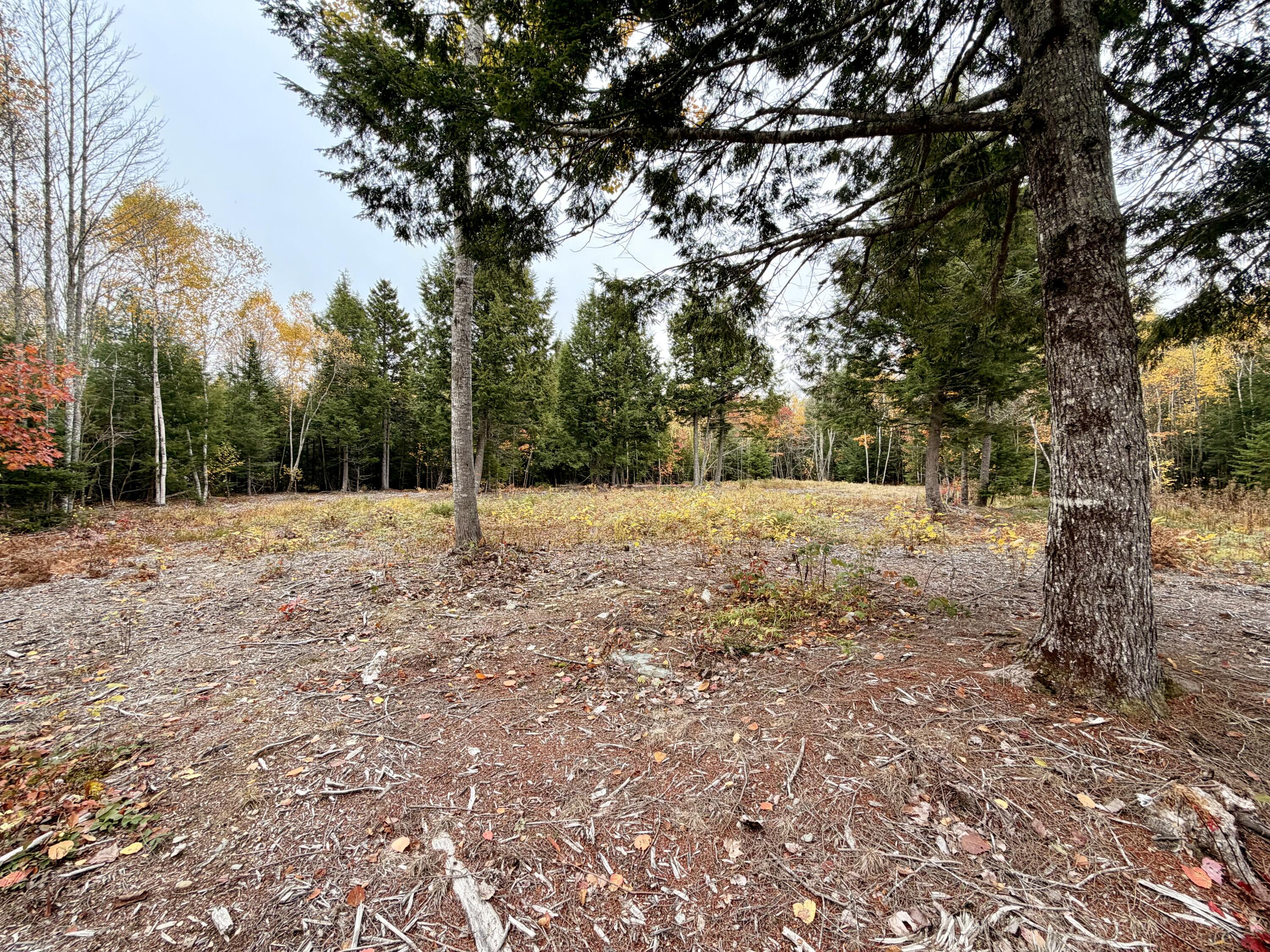 45 Bass Overlook Waltham ME 04605