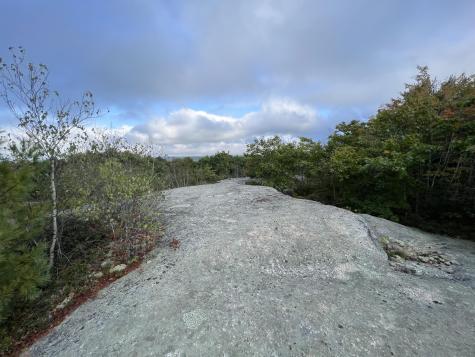 0 Blackswoods Lot 28.1 Road Cherryfield ME 04622